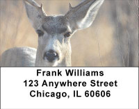 Deer in Four Seasons Address Labels | LBANI-59