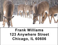 Deer in Winter Address Labels | LBANI-60