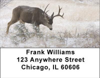 Deer in Winter Address Labels | LBANI-60