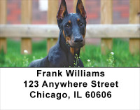 Doberman Address Labels | LBANI-62