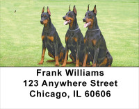 Doberman Address Labels | LBANI-62