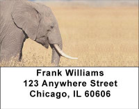 Elephants in the Wild Address Labels | LBANI-67