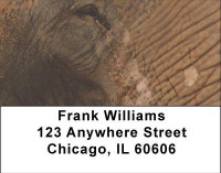Elephants Up Close and Personal Address Labels | LBANI-69