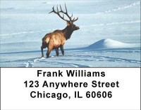 Elk Racks Address Labels | LBANI-71