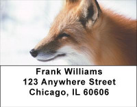 Sly as a Fox Address Labels | LBANI-75
