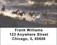 Wild Horse Roundup Address Labels | LBANI-81