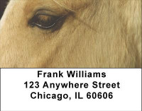 Horses Seeing Eye to Eye Address Labels | LBANI-85