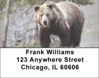 Grizzly Bears in the Wild Address Labels | LBANI-B2