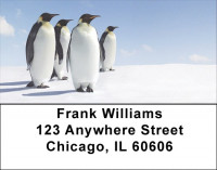 Penguins Address Labels | LBANI-D3