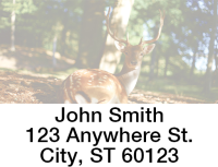 Deer in the Wild Address Labels  | LBANIC-55