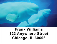 Beluga Address Labels | LBANJ-14