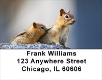 Baby Chipmunk With Mother Address Labels | LBANJ-25