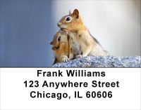 Baby Chipmunk With Mother Address Labels | LBANJ-25