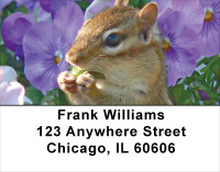 Chipmunks Everywhere Address Labels | LBANJ-27