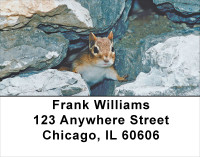 Chipmunks Everywhere Address Labels | LBANJ-27
