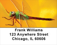 Dragonfly Maneuvers Address Labels | LBANJ-32