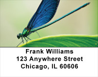 Dragonfly Maneuvers Address Labels | LBANJ-32