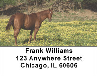 Grazing Green Pastures Horse Address Labels | LBANJ-36