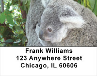 Kuddly Koala Address Labels | LBANJ-37