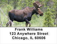 Moose Address Labels | LBANJ-48