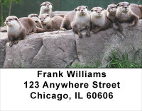 Otter Address Labels | LBANJ-49