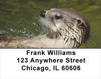 Otter Address Labels | LBANJ-49