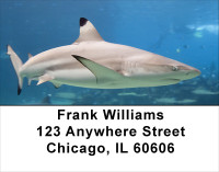 Shark Infested Waters Address Labels | LBANJ-64