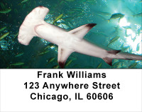Shark Infested Waters Address Labels | LBANJ-64