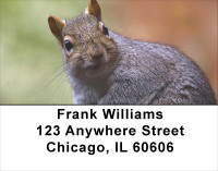 Squirrel Time Address Labels | LBANJ-74