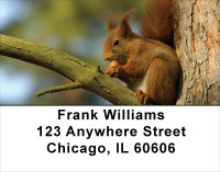 Squirrel Time Address Labels | LBANJ-74