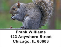 Squirrel Time Address Labels | LBANJ-74