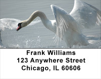 Swan Splendor Address Labels | LBANJ-79