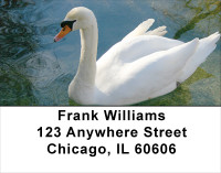 Swan Splendor Address Labels | LBANJ-79