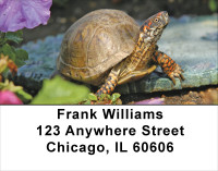 Box Turtles Address Labels | LBANJ-83