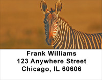 Zebras At Sunset Address Labels | LBANJ-95