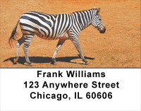 Zebras At Sunset Address Labels | LBANJ-95