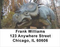 Dino Walk In The Park Address Labels | LBANJ-98