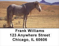 Spanish Mustang Address Labels | LBANK-05