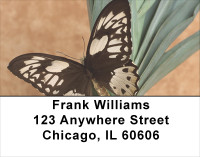Terracotta Butterfly Address Labels | LBANK-08
