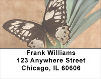 Butterfly Perspective  Address Labels | LBANK-09