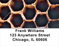 Honey Bees Address Labels | LBANK-17
