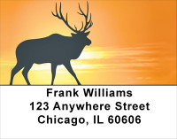 Deer Sunset Silhouettes Address Labels | LBANK-29