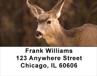 Deer Closeups Address Labels | LBANK-31
