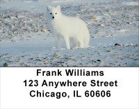 Fox In Winter Address Labels | LBANK-38