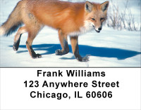 Fox In Winter Address Labels | LBANK-38