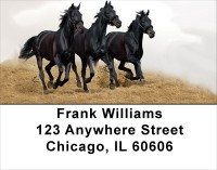 Black Stallions Address Labels | LBANK-52