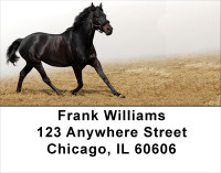 Black Stallions Address Labels | LBANK-52