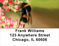 Bumble Bees Address Labels | LBANK-53