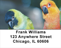Parakeets On Parade Address Labels | LBANK-55
