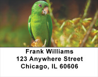 Parakeets On Parade Address Labels | LBANK-55
